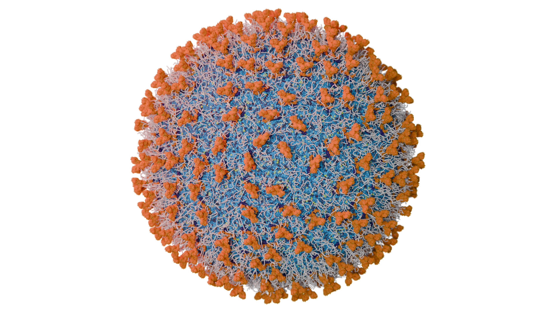 Illustration of a lipid nanoparticle (LNP) showing its surface components